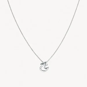 COLGANTE PATO CON CIRCONITA